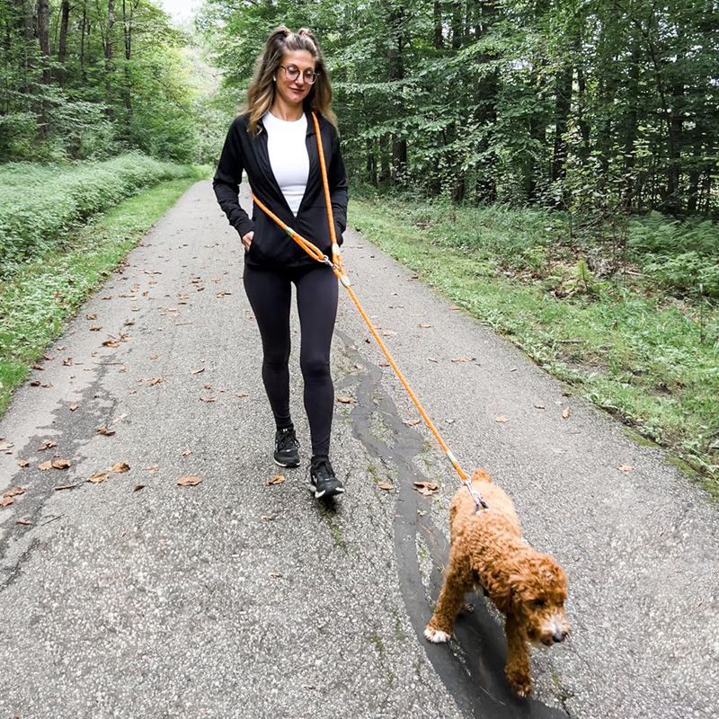 Reflective Hands-Free Dog Leas - огляд і ціна Running Gear Belt